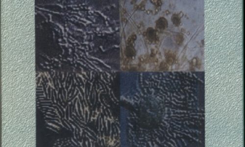 FOTO CAPA LIVRO MICOTOXINAS